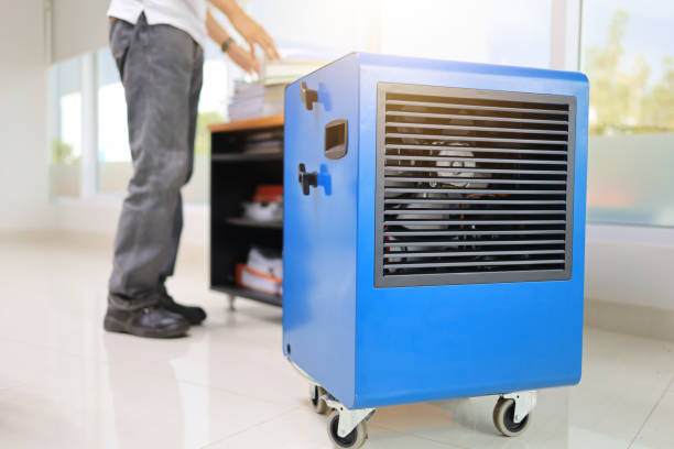 Best Mold Removal for HVAC Installations  in USA